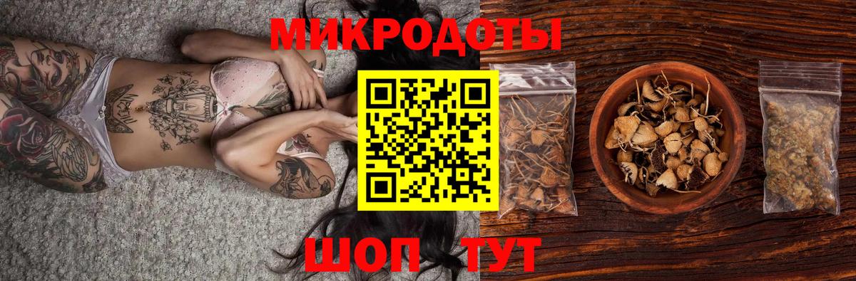 Псилоцибиновые грибы Psilocybe Ижевск