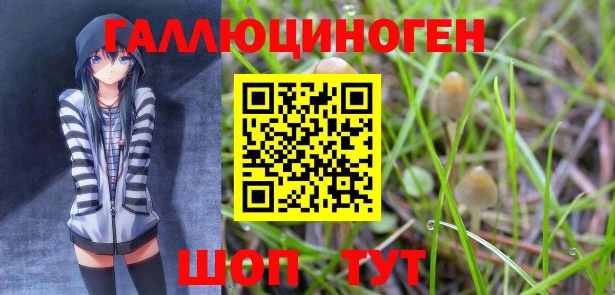 Галлюциногенные грибы GOLDEN TEACHER  Вход с VPN  купить  цена  Ижевск  Галлюциногенные грибы прущие грибы 